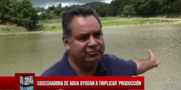 COSECHADORAS